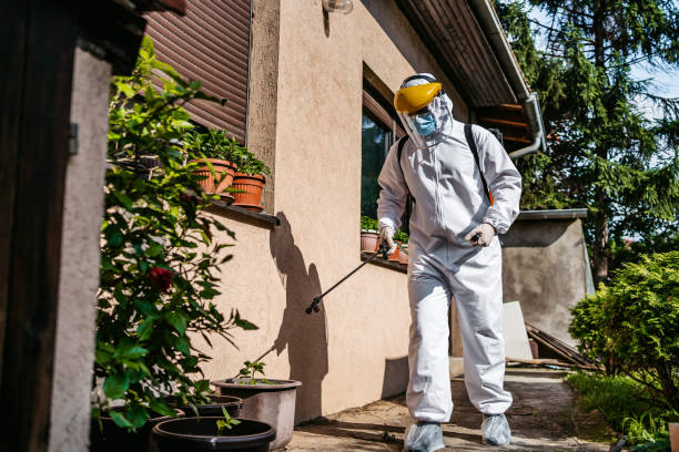Best Rodent Control Near Me  in Pine Grove, CA
