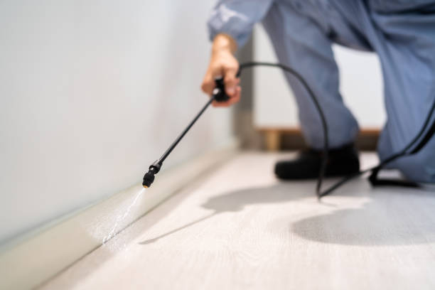 Pest Control Cost in Pine Grove, CA