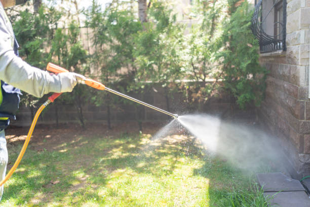 Spider Control Near Me in Pine Grove, CA