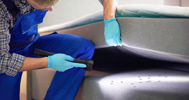 Best Pest Control for Businesses  in Pine Grove, CA